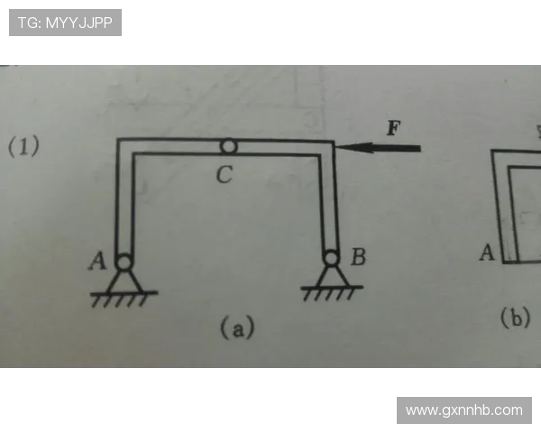 奥利塞当前水平具体体现在哪几个维度 奥利塞当前水平具体体现在哪几个维度